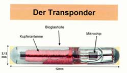 Transponder